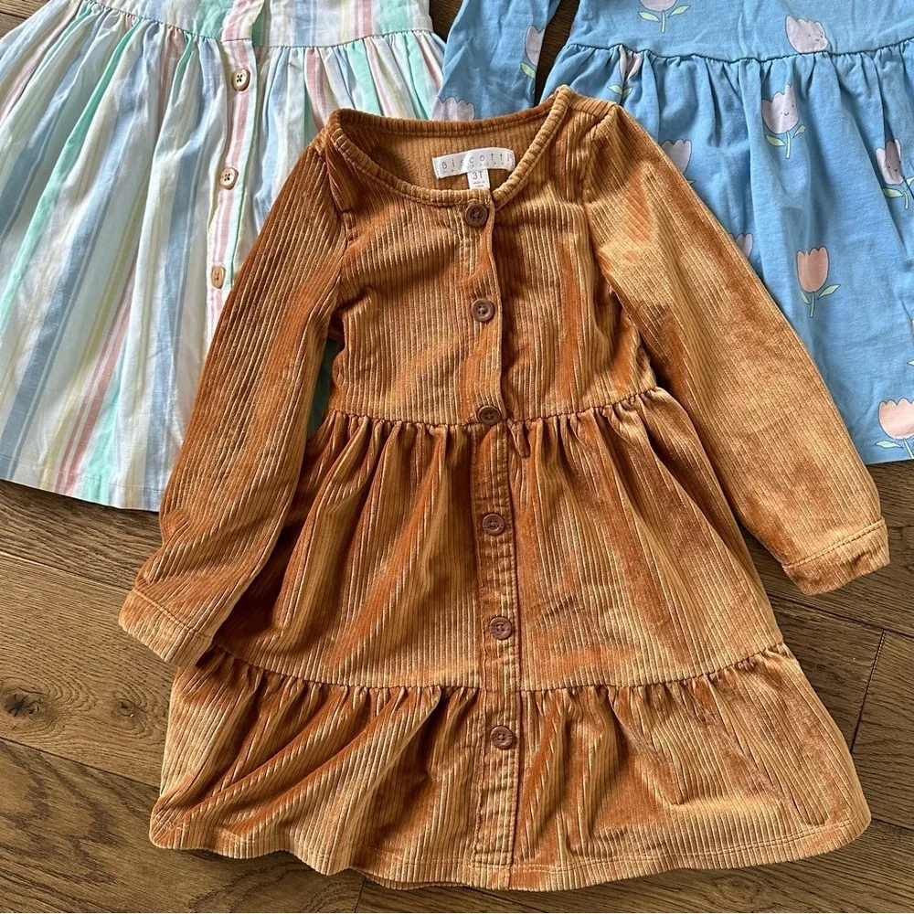 Bundle of 3 Dresses Sz 3T